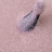 IQ BEAUTY   Лак для ногтей с биокерамикой с вкраплениями   12,5мл   Prolac PINK CLOUDS   #088