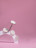 ALGEBRA BEAUTY   SOFT WHITE   Тонкие   S (15мм)   #150   (50шт)   Сменные файлы  для педикюрного диска без подложки