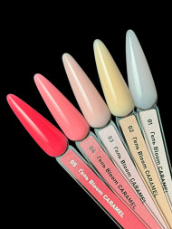 BLOOM   Gel CARAMEL   #05   15мл   Гель для моделирования