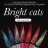 NAIL REPUBLIC   Гель-лак кошачий глаз светоотражающий   10мл   Bright Cats   #681